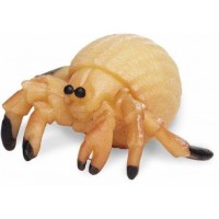 Hermit crabs play set 2.5 cm 192-piece