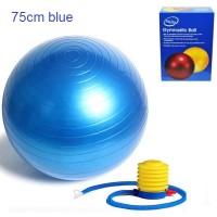 Φουσκωτή μπάλα γυμναστικής μπλε 75cm King Lion