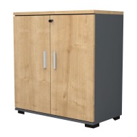 Ντουλάπι γραφείου με κλειδαριά επαγγελματικό Venturo Megapap χρώμα ανθρακί - φυσικό οξιάς 80x40x80εκ.