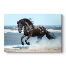 Πίνακας σε καμβά "Black Horse" Megapap ψηφιακής εκτύπωσης 100x70x3εκ. Πίνακας σε καμβά "Black Horse" Megapap ψηφιακής εκτύπωσης 100x70x3εκ.