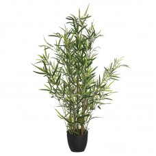 Φυτό σε γλάστρα Green10 pakoworld 63x55x90εκ Φυτό σε γλάστρα Green10 pakoworld 63x55x90εκ