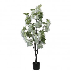 Διακοσμητικό φυτό Bean flowers σε γλάστρα Inart λευκό pp Υ125εκ