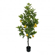 Διακοσμητικό φυτό Lemon tree σε γλάστρα Inart πράσινο pp Υ150εκ