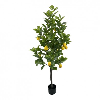 Διακοσμητικό φυτό Lemon tree σε γλάστρα Inart πράσινο pp Υ150εκ Διακοσμητικό φυτό Lemon tree σε γλάστρα Inart πράσινο pp Υ150εκ
