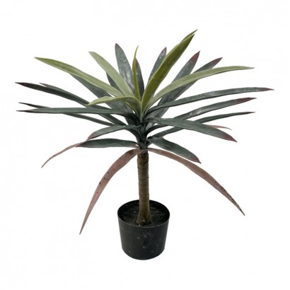 Διακοσμητικό φυτό Dracaena palm σε γλάστρα Inart πράσινο pp Υ62εκ