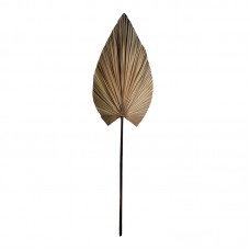 Διακοσμητικό φύλλο Leafen pakoworld φυσικό palm leaf 134εκ