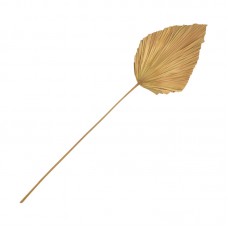 Διακοσμητικό φύλλο Walsy Inart palm leaf σε φυσική απόχρωση Υ135 εκ