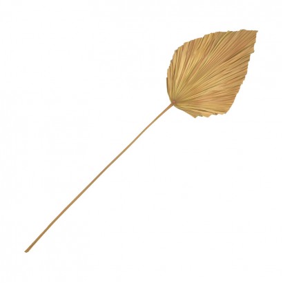 Διακοσμητικό φύλλο Walsy Inart palm leaf σε φυσική απόχρωση Υ135 εκ