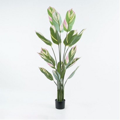 Διακοσμητικό φυτό σε γλάστρα Aglaonema Inart πράσινο Φ80x150εκ