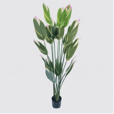 Διακοσμητικό φυτό σε γλάστρα Lucky Inart πράσινο Φ80x180εκ