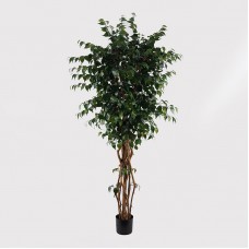 Διακοσμητικό φυτό σε γλάστρα Banyan Inart πράσινο Φ95x180εκ