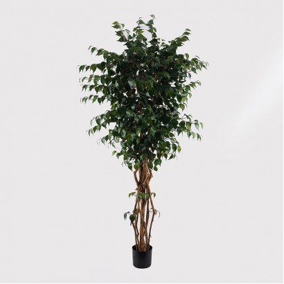 Διακοσμητικό φυτό σε γλάστρα Banyan Inart πράσινο Φ95x180εκ