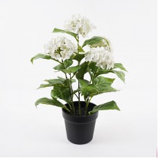 Διακοσμητικό φυτό σε γλάστρα Hydrangea Inart λευκό Φ35x50εκ