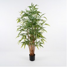 Διακοσμητικό φυτό σε γλάστρα Rhapis Palm Inart πράσινο Φ60x120εκ