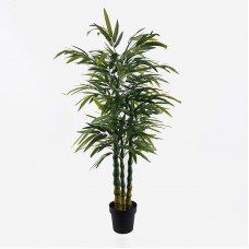 Διακοσμητικό φυτό σε γλάστρα Arti Bamboo Inart πράσινο Φ70x150εκ