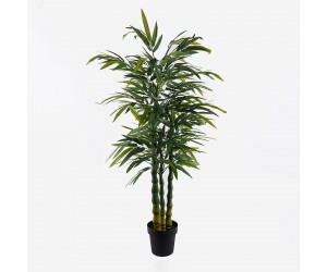 Διακοσμητικό φυτό σε γλάστρα Arti Bamboo Inart πράσινο Φ70x150εκ Διακοσμητικό φυτό σε γλάστρα Arti Bamboo Inart πράσινο Φ70x150εκ