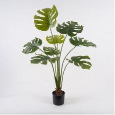 Διακοσμητικό φυτό σε γλάστρα Deliciosa Inart πράσινο Φ94x120εκ