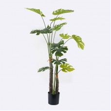 Διακοσμητικό φυτό σε γλάστρα Deliciosa I Inart πράσινο Φ90x160εκ