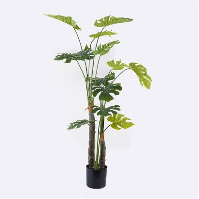 Διακοσμητικό φυτό σε γλάστρα Deliciosa I Inart πράσινο Φ90x160εκ