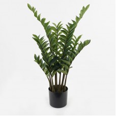 Διακοσμητικό φυτό σε γλάστρα Zamia Inart πράσινο Φ52x88εκ