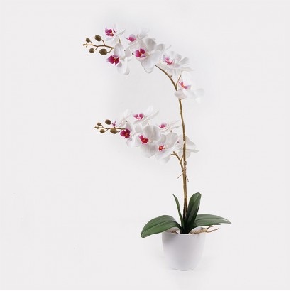 Διακοσμητικό φυτό σε γλάστρα Οrchid White Inart 36x17x65εκ Διακοσμητικό φυτό σε γλάστρα Οrchid White Inart 36x17x65εκ