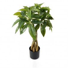 Διακοσμητικό φυτό σε γλάστρα Pachira Inart πράσινο Φ40x60εκ