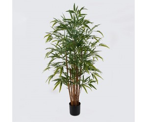 Διακοσμητικό φυτό σε γλάστρα Rhapis Palm Inart πράσινο Φ80x180εκ Διακοσμητικό φυτό σε γλάστρα Rhapis Palm Inart πράσινο Φ80x180εκ