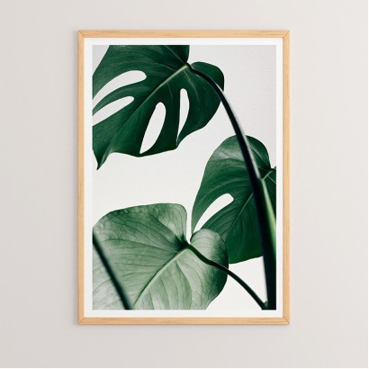 Πίνακας Leafy pakoworld με ψηφιακή εκτύπωση και πλαίσιο 33x1.5x48εκ